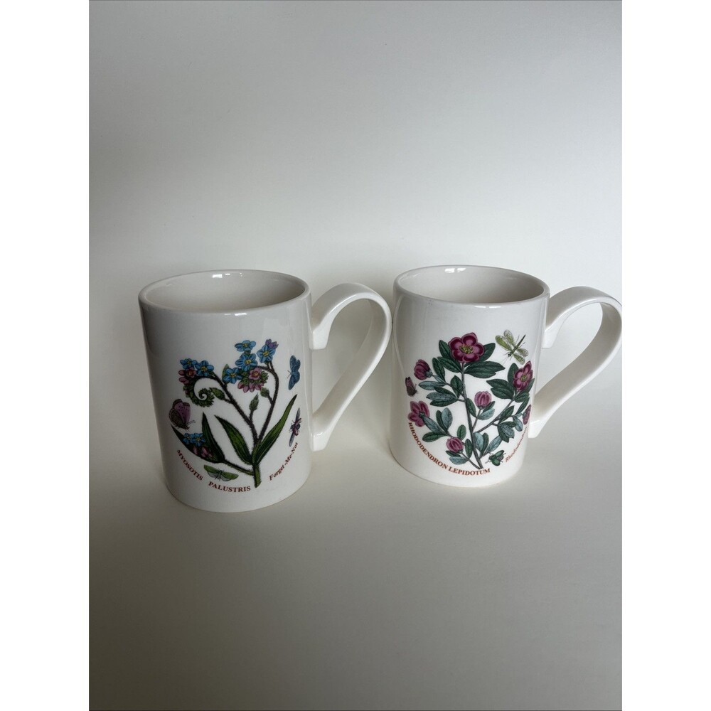 Set of 2 Portmeirion Botanic Garden Hydrangea Forget Me Nots Coffee Yea Mugs